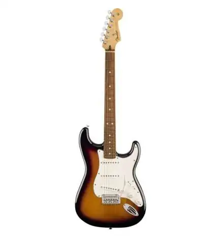 Fender Player Stratocaster PF Anniversary 2-Color Sunburst