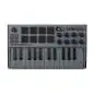 AKAI Professional MPK Mini Mk3 Keyboard Controller (Grey)