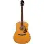 Fender Paramount PD-220E NAT