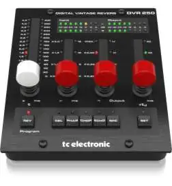 TC Electronic DVR250-DT