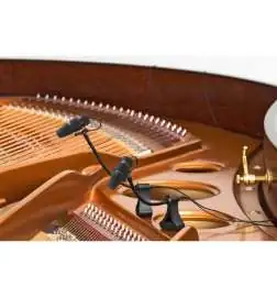 DPA d vote CORE 4099P Piano Set