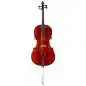 Primavera 100 3/4 Cello Set