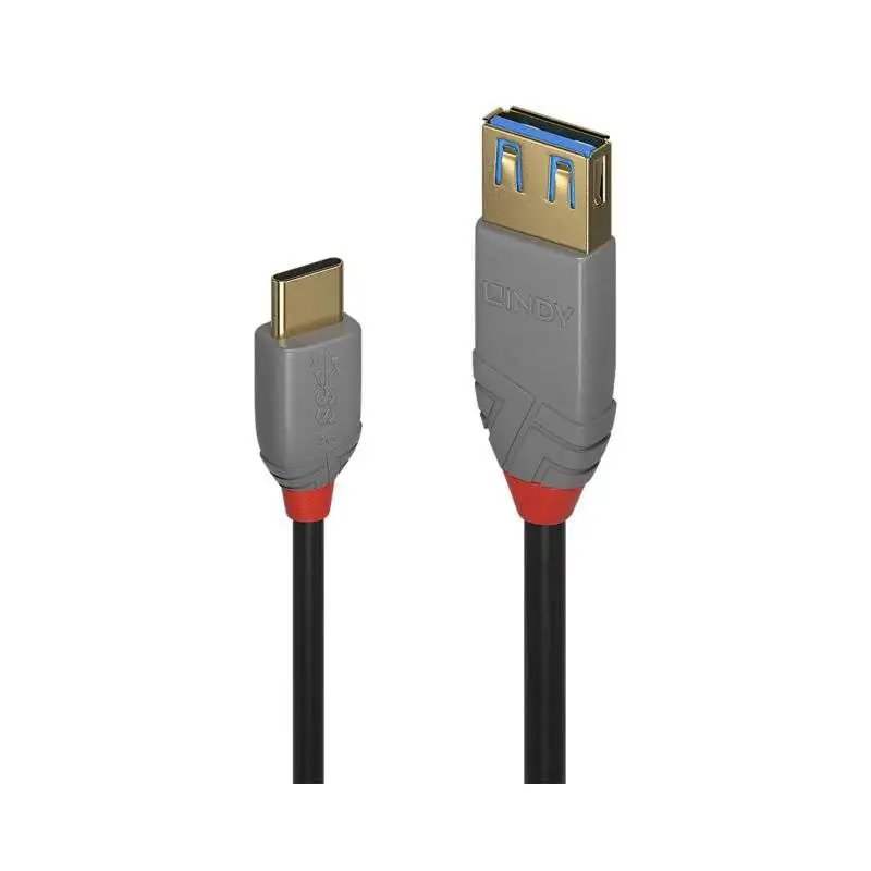 Lindy USB 3.2 Adapterkabel 0,15 m
