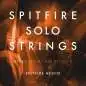 Spitfire Audio Spitfire Solo Strings License Code