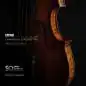 Spitfire Audio BBC Symphony Orchestra Professional License Code