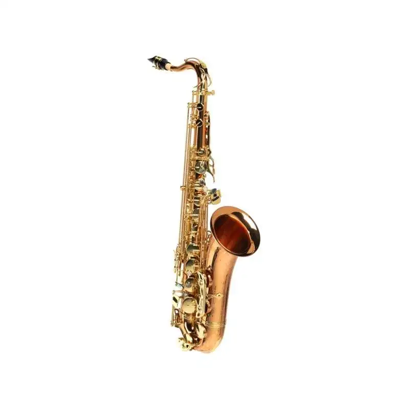 Expression XP-1 Tenorsaxophon, Bronze