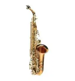 Expression XP-1 Alto Sax, Bronze