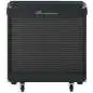 Ampeg Portaflex PF-210HE