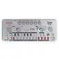 Cyclone Analogic TT-303 Bass Bot