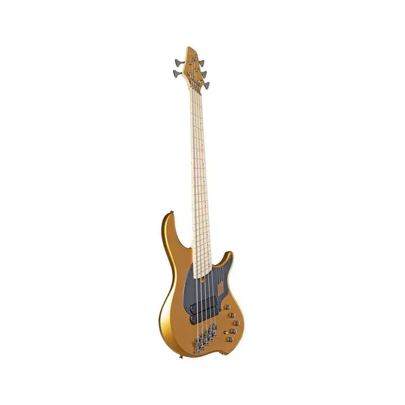 Dingwall NG2 Nolly 5-String 2PU GD Gold Matte