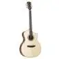 Dowina Cocobolo III GACE-ds
