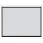 DMT Proscreen Manual Projector Screen 72" 4:3
