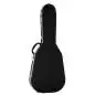 Hiscox PRO-II-GCL-L Classic Case Large