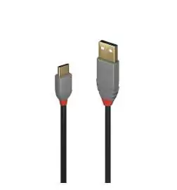 Lindy USB 2.0 Kabel 0,5 m