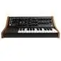 Moog Subsequent 25