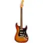 Fender Player Plus Stratocaster PF (Sienna Sunburst)