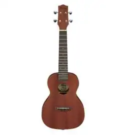 Ibanez UKC100-OPN