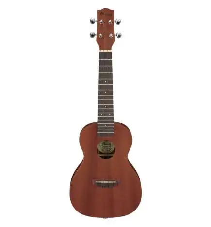 Ibanez UKC100-OPN