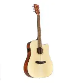 Ibanez PF10CE-OPN