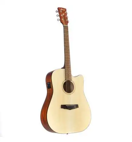 Ibanez PF10CE-OPN
