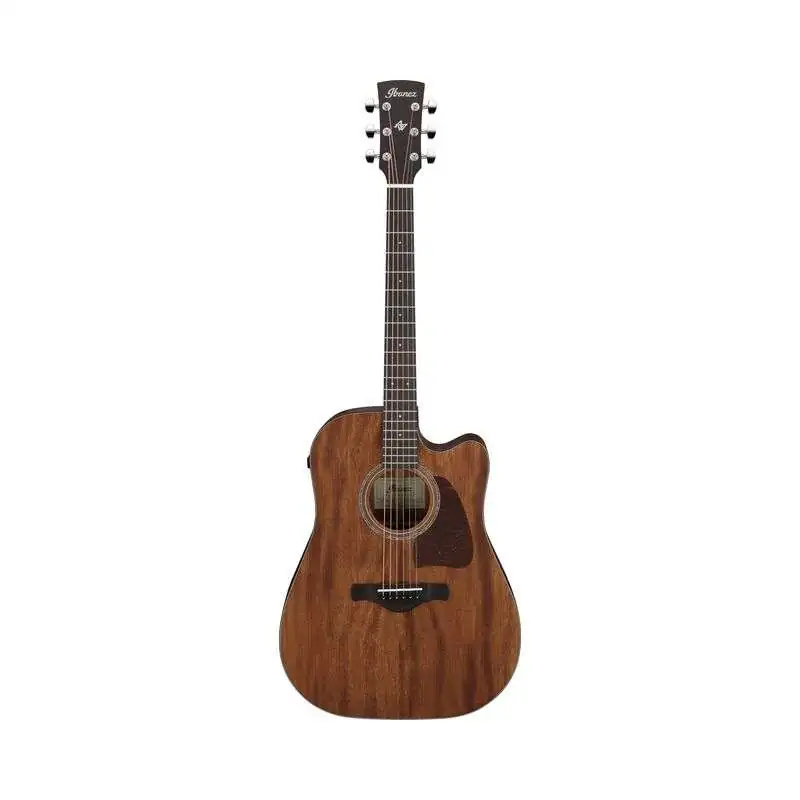 Ibanez AW1040CE-OPN