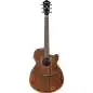 Ibanez AEG61-NMH Ibanez AEG61-NMH