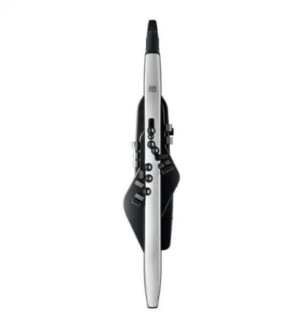 Roland AE-30 Aerophone Pro