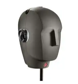Neumann KU 100