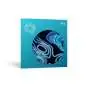 iZotope Ozone 11 Std. UPG from 9/10 License Code