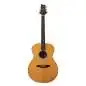 PRS SE T60E Tonare Natural