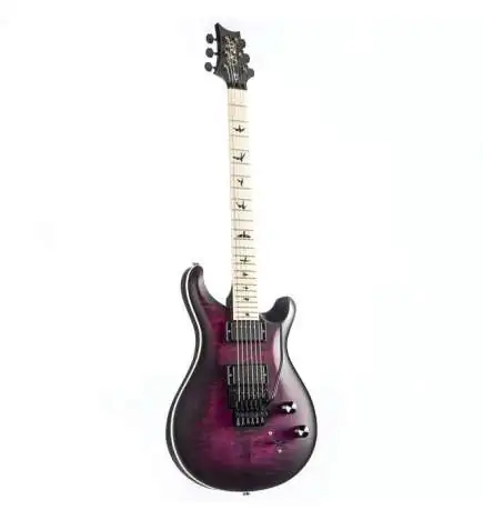 PRS Dustie Waring CE24 Floyd Waring Burst