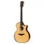 Taylor Builder's Edition 614ce Taylor Builder's Edition 614ce