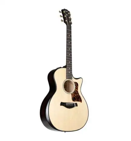 Taylor Builder s Edition 314ce LTD NT 50th Anniversary