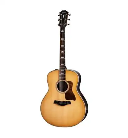 Taylor 818e V-Class Grand Orchestra