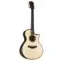 Taylor Builder's Edition 912ce Taylor Builder's Edition 912ce