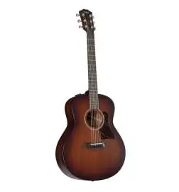 Taylor AD21e