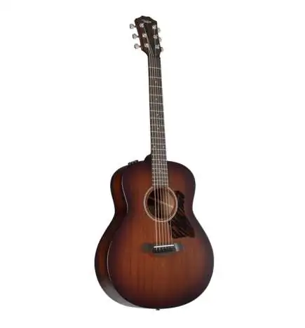 Taylor AD21e
