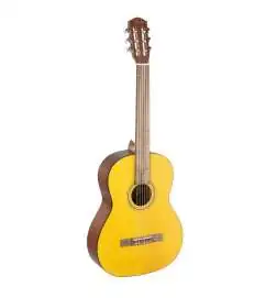 Fender ESC110 Educational 4 4