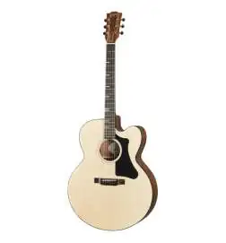 Gibson G-200