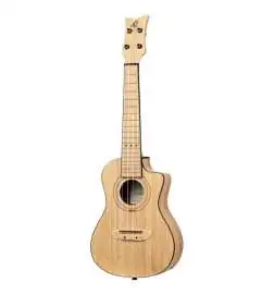 Ortega RUNAB-CC