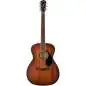 Fender Paramount PO-220E Mahogany ACB
