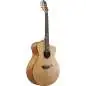 Ibanez Jon Gomm Signature