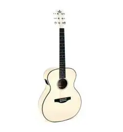 Sigma Guitars GM-1E-MFW