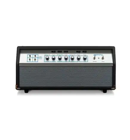 Ampeg Heritage 50th Anniversary SVT
