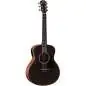 Taylor GS Mini-e Translucent Black