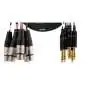 Cordial Intro Multicore Cable XLRf/jack sim.