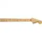 Fender American Performer Strat Neck MN Fender American Performer Strat Neck MN