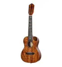 Ortega RUET-ACA