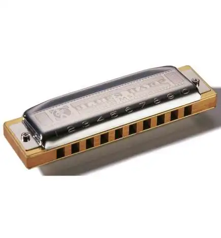 Hohner blauws Harp E MS
