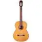 Cordoba C7 CD Cedar
